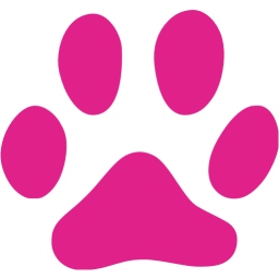 footprints cat icon