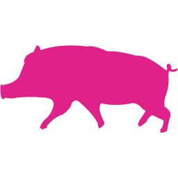 pig 10 icon