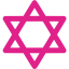 barbie pink star of david icon