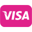 barbie pink visa icon