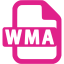 barbie pink wma icon