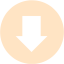 bisque arrow 209 icon