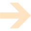 bisque arrow 249 icon