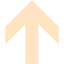 bisque arrow 315 icon