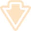 bisque arrow down icon