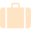 bisque baggage icon