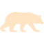 bear 5