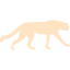 bisque cheetah icon