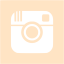 bisque instagram 2 icon