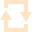 bisque loop square icon