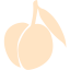 bisque peach icon