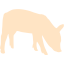 bisque pig 2 icon