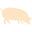 bisque pig 4 icon