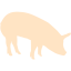 bisque pig 5 icon