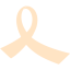 bisque ribbon 13 icon