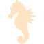 bisque sea horse icon