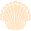 bisque seashell 2 icon