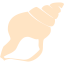 bisque seashell icon