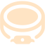 bisque shoe polish icon