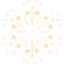 bisque snowflake 12 icon