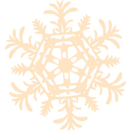 snowflake 25 icon