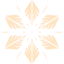 snowflake 5