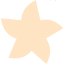 bisque star 21 icon