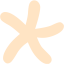 bisque star 24 icon