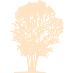 tree 31 icon