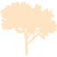 bisque tree 60 icon