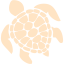 bisque turtle icon