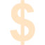 bisque us dollar icon