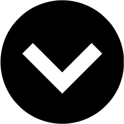 arrow 206 icon