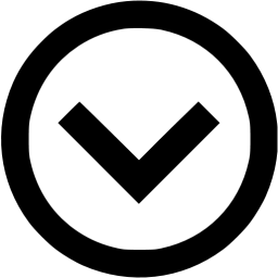 arrow 207 icon