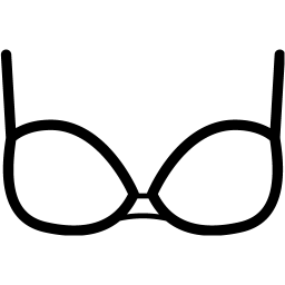 bra 2 icon