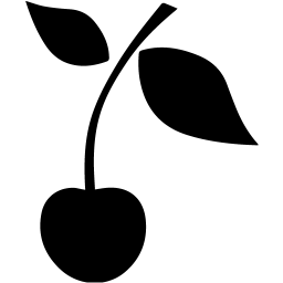 cherry icon