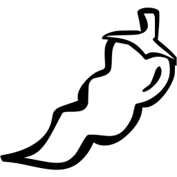 chili pepper 3 icon