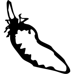 chili pepper 6 icon