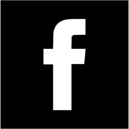 facebook 2 icon
