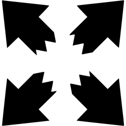 fullscreen 10 icon