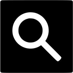 google web search icon