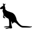 black kangaroo 4 icon