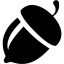black nut icon