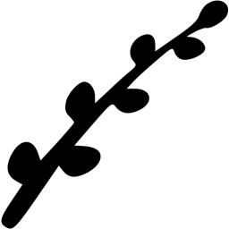pussy willow icon