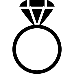 ring 2 icon