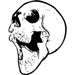 skull 21 icon