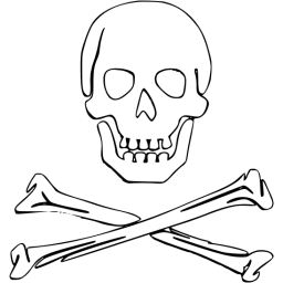 skull 52 icon