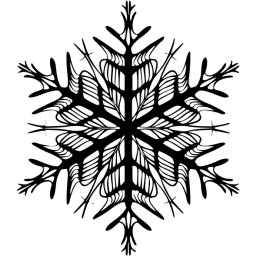 snowflake 37 icon