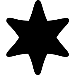 star 17 icon
