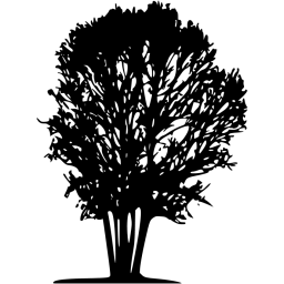 tree 31 icon